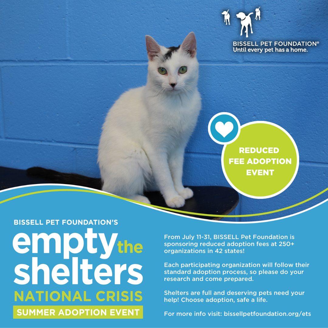 Empty the Shelters Event Graphic - $25 Adult Animal Adoptions