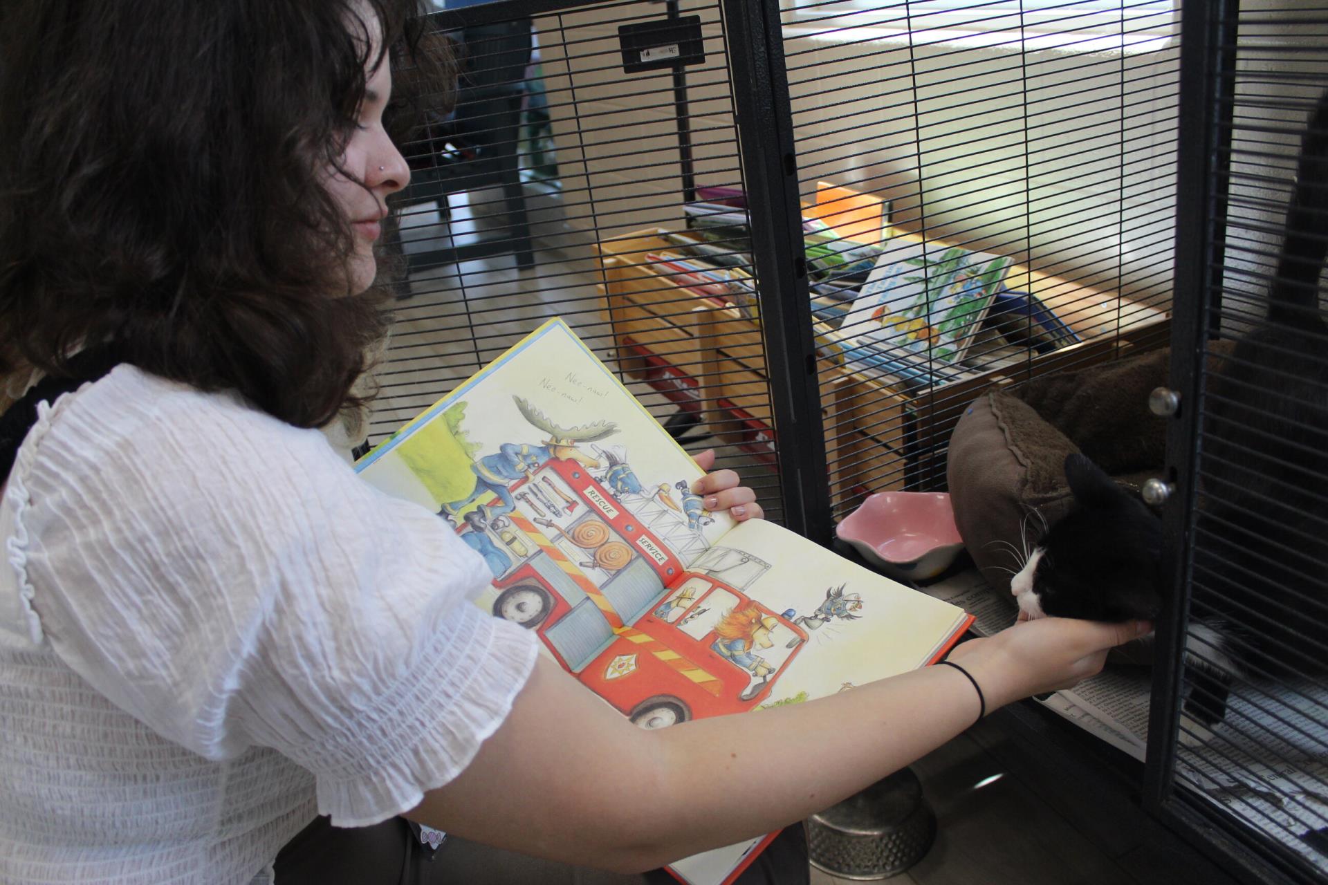 Person reading to and petting a cat