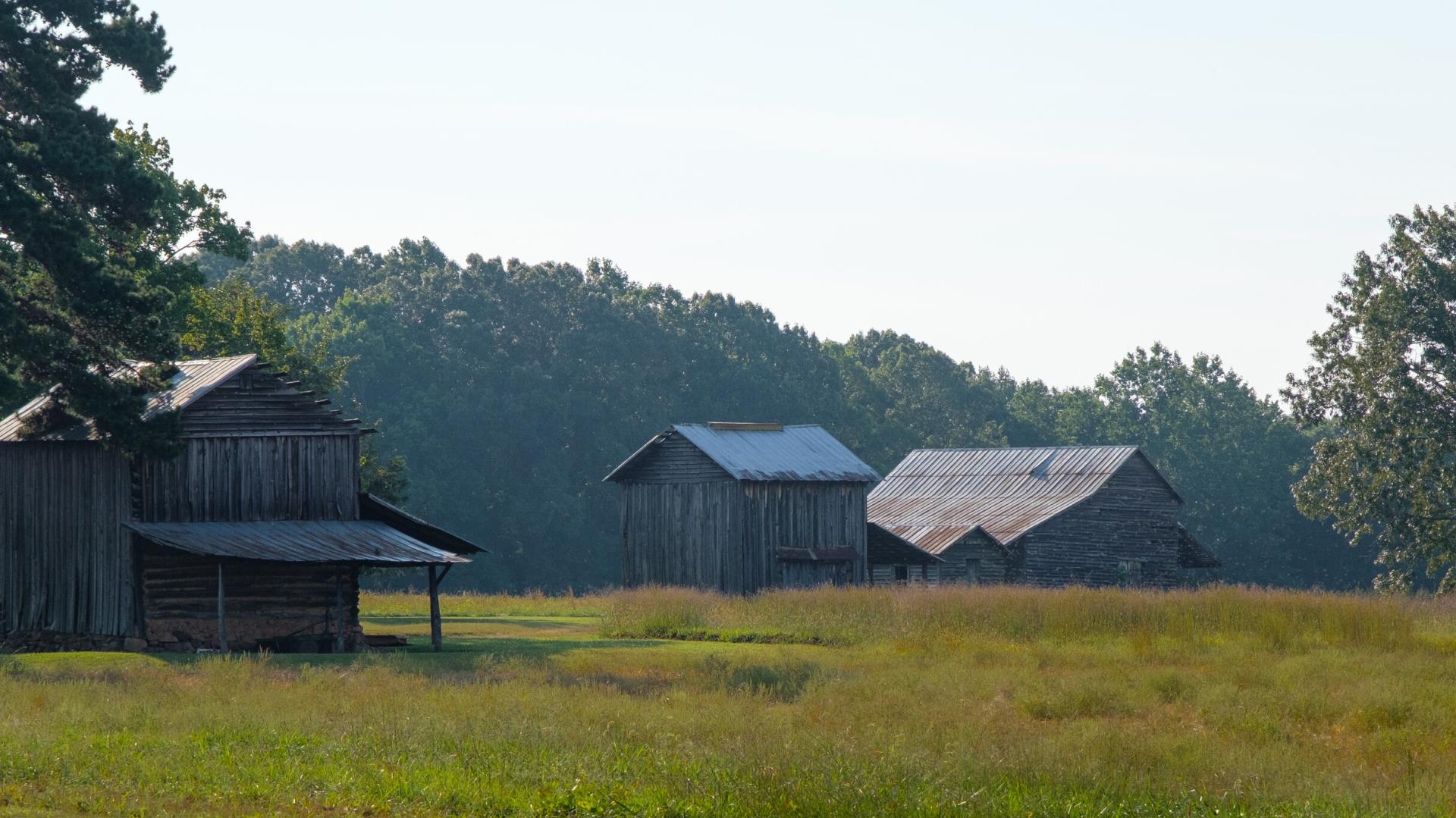 Agricultural Buildings in Landscape