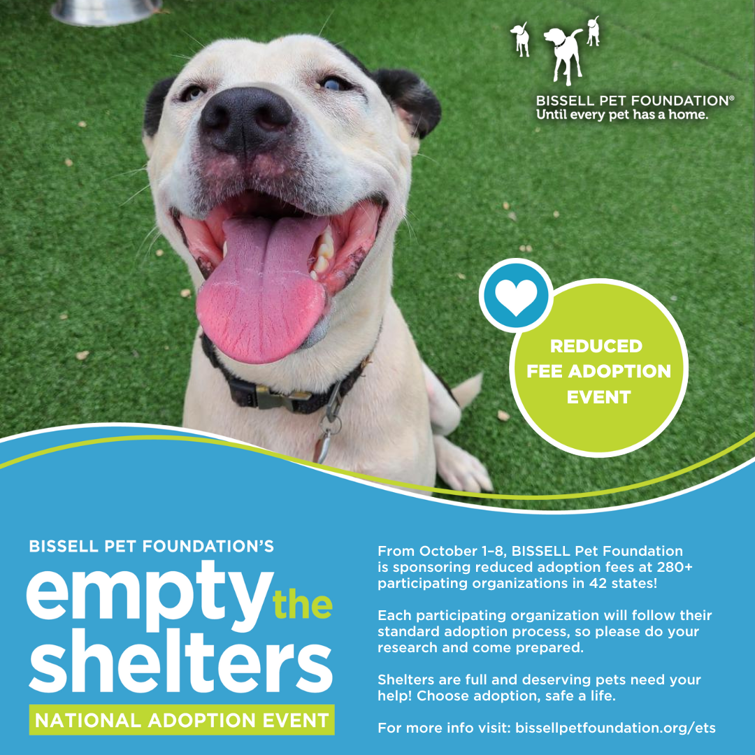 Graphic with photo of dog with its mouth open and text about an adoption special