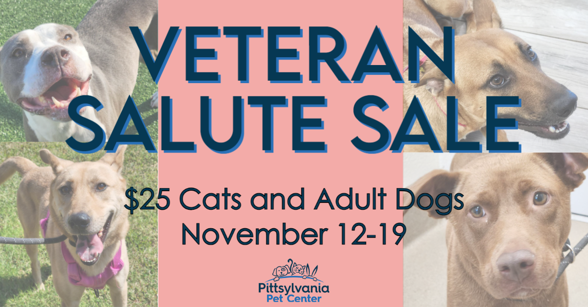 Dogs on a graphic with text: Veteran salute sale: $25 cats and adult dogs, November 12-19