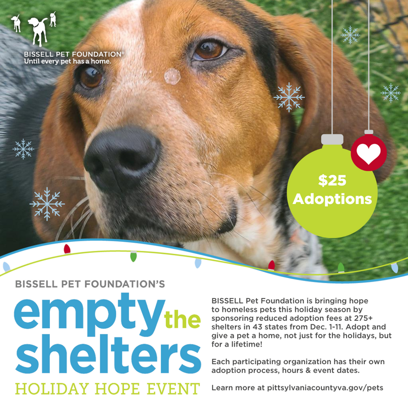 Picture of Hound with information about December 2022 Empty the Shelters Sale - $25 pet adoptions